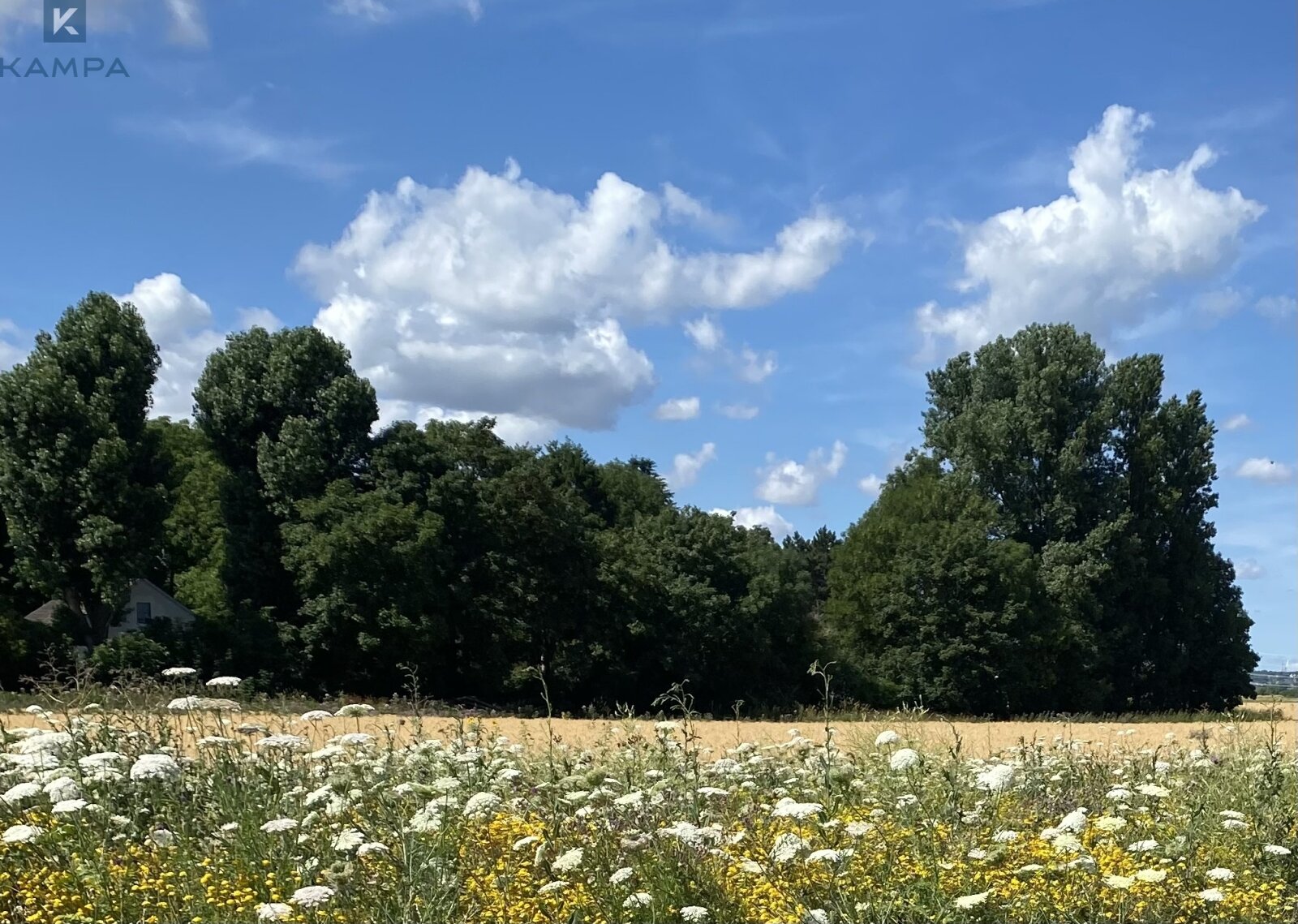 Attraktives Baugrundstück in begehrter Lage in Frechen Attraktives Baugrundstück in begehrter Lage in Frechen